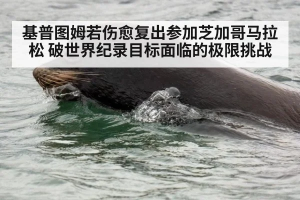 基普图姆若伤愈复出参加芝加哥马拉松 破世界纪录目标面临的极限挑战